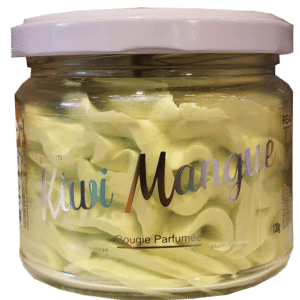 bougie parfumée cire de soja, made in france