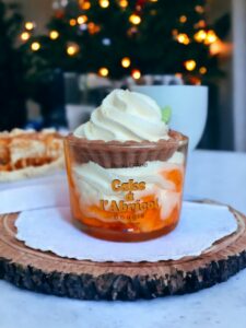 bougie gourmande peau d'ane cake-a-labricot-bougie-peau-dane