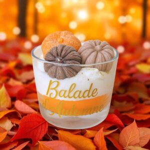 bougie gourmande de noel peau d'ane féérique balade d'automne
