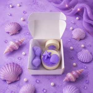 Coffret decouverte coquillage
